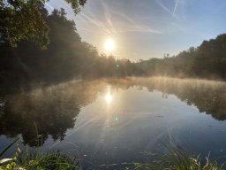 impressionen weiher_03